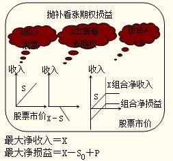 抛补看涨期权 