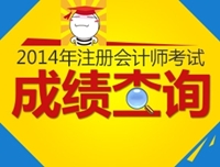 2014年注册会计师成绩查询