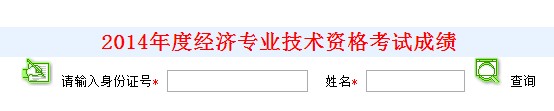 广州2014年经济师考试成绩查询入口