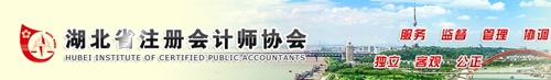 湖北省注会协会