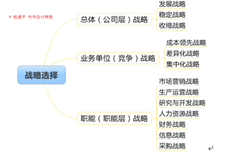 战略选择