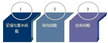 公司战略与风险管理知识点