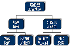 公司战略与风险管理知识点