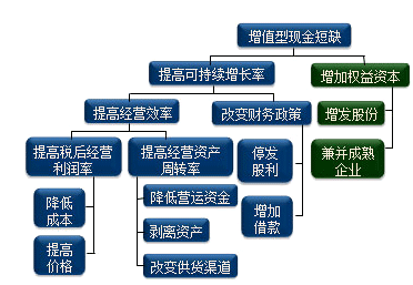 公司战略与风险管理知识点