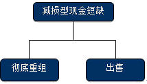 公司战略与风险管理知识点