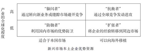 新兴市场的企业战略