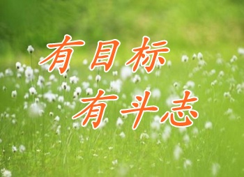 中级会计职称考生成功通过考试：耐心和坚持缺一不可