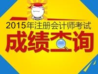 2015注册会计师成绩查询时间