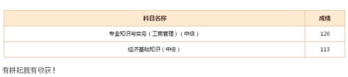 2015年经济师考试网校学员成绩