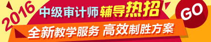 2016年中级审计师考试辅导热招