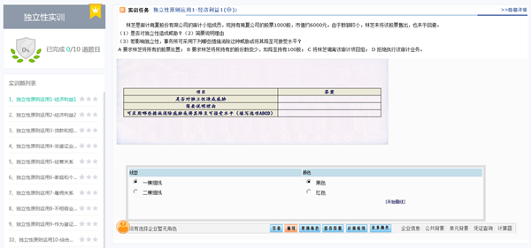 注册会计师审计实训系统