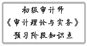 2017年初级审计师《审计理论与实务》预习阶段知识点汇总