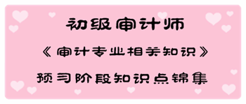 2017年初级审计师《审计专业相关知识》预习阶段知识点汇总