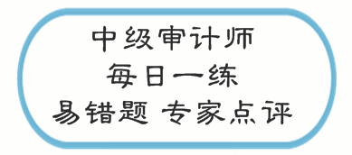 中级审计师考试易错题专家点评