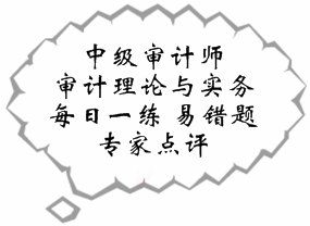 中级审计师《审计理论与实务》易错题解析