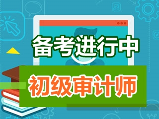 初级审计师《审计专业相关知识》知识点