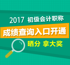 初级会计职称考试成绩查询