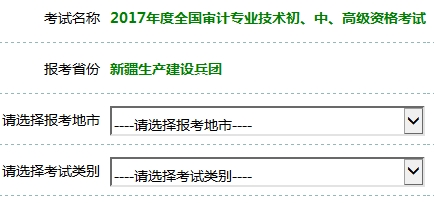 2017年审计师考试报名入口开通