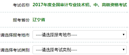 2017年审计师考试报名入口开通