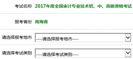 2017年审计师考试报名入口开通