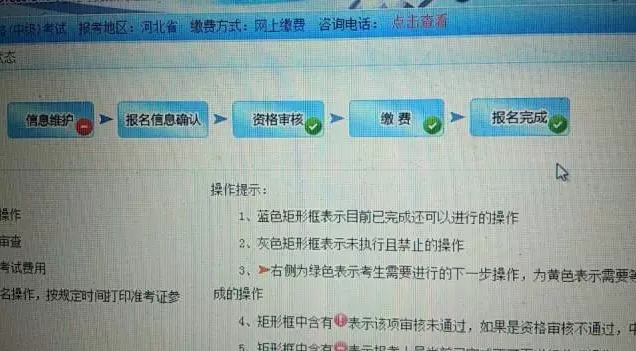 经济师报名成功界面