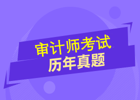 历年审计师试题 考前过一遍