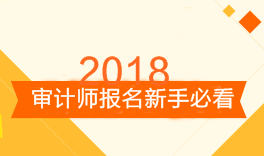 审计师考试报名新手必看 备考前这三点你需要知道！