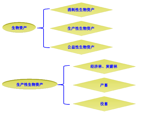 资产减值概述