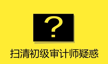 初级审计师答疑精华