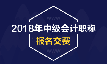 内蒙古阿拉善盟2018年中级会计职称考试网上缴费时间及金额