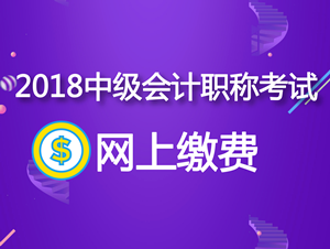 新疆2018年中级会计职称网上缴费及收费标准