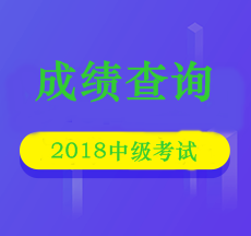 四川2018会计中级考试成绩查询时间 点击查看