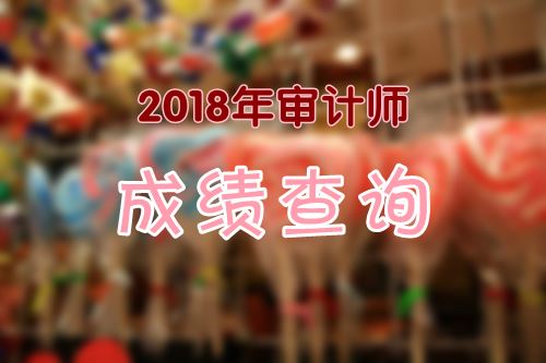 2018年审计专业技术初、中级资格成绩什么时候可以查询？