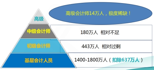 高级会计师季度稀缺