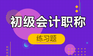 初级会计职称练习题