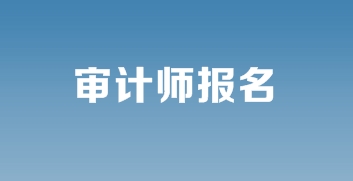 2019年审计师报名