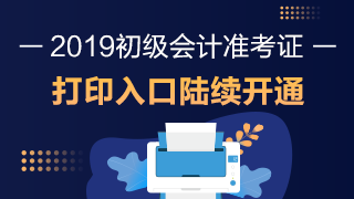 2019初级准考证打印入口