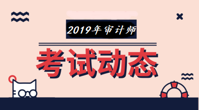 2019年审计师