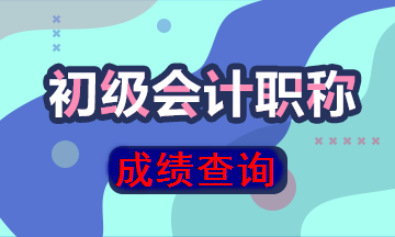 河南2019初级会计成绩查询入口开通了吗？