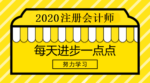 2020年注册会计师