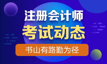 2019年注册会计师考试时间