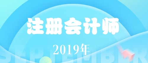 注册会计师2019年