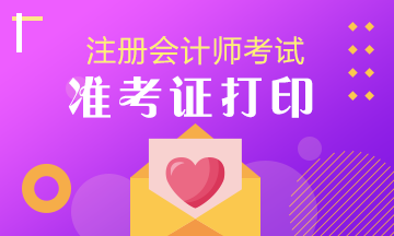 注册会计师准考证 2019年