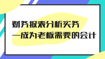 pc财务报表分析实务