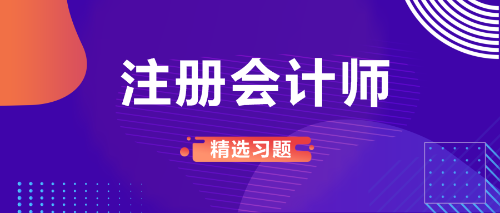 注册会计师精选习题