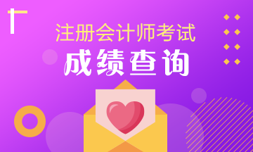 江苏连云港注会成绩查询