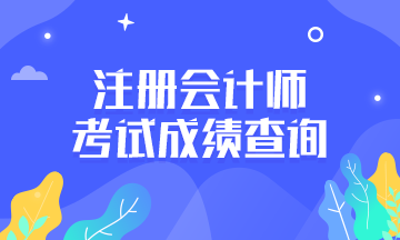 上海注会成绩查询时间