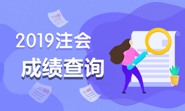 2019年辽宁CPA成绩查询时间是什么时候？