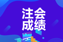 2019注会年成绩查询时间