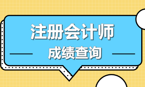 2019注会成绩查询